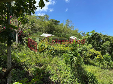 SPRING GARDEN  5 Bedroom 4 BATH 0.8 ACRES