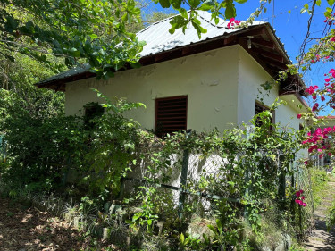 SPRING GARDEN  5 Bedroom 4 BATH 0.8 ACRES