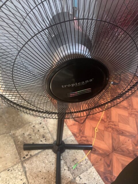 Tropicana Fan
