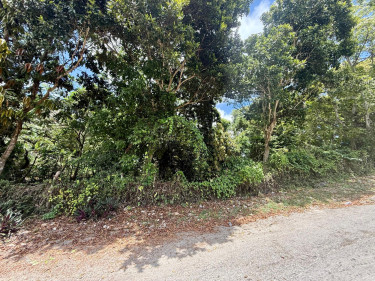0.32 Acre For Sale In Browns Town