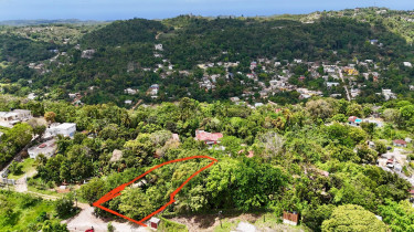 0.32 Acre For Sale In Browns Town