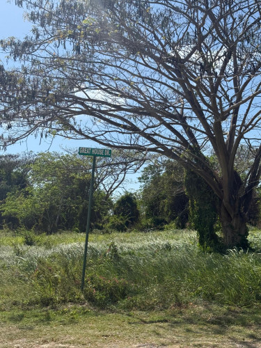 0.33 Acre For Sale In Duncan’s Bay Trelawny 
