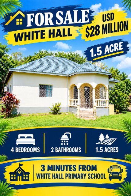 WHITE HALL 4 BEDROOM 2 BATH HOUSE 1.5 ACRES Houses WHITEHALL