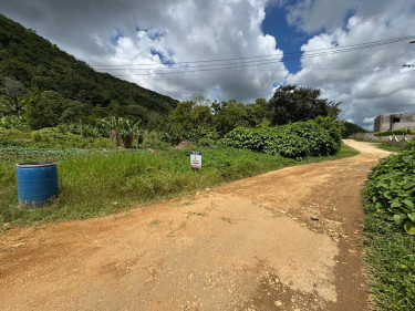 Sale Of Residential Lot In Holland, St. Catherine 