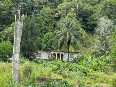 Sale Of Residential Lot In Holland, St. Catherine 