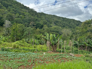 Sale Of Residential Lot In Holland, St. Catherine 