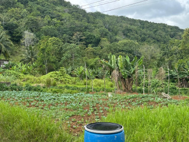 Sale Of Residential Lot In Holland, St. Catherine 
