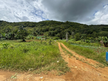 Sale Of Residential Lot In Holland, St. Catherine 
