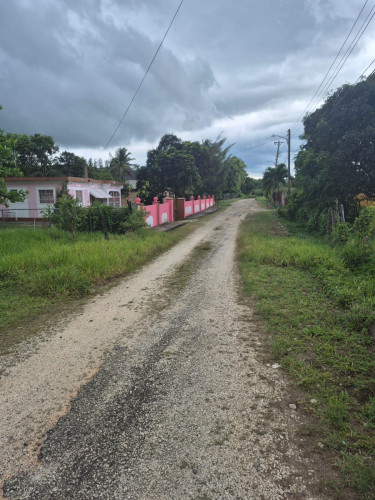 Sale Of Residential Lot In Thornton, St. Elizabeth