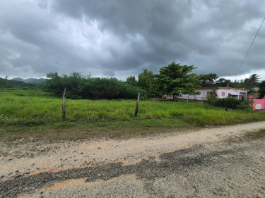 Sale Of Residential Lot In Thornton, St. Elizabeth