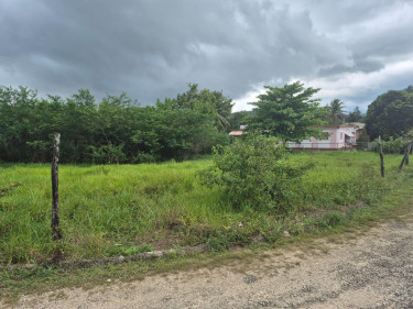 Sale Of Residential Lot In Thornton, St. Elizabeth