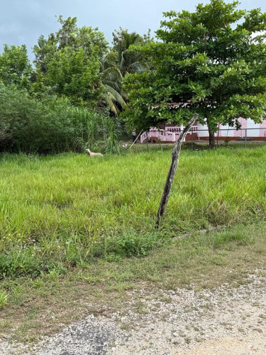 Sale Of Residential Lot In Thornton, St. Elizabeth