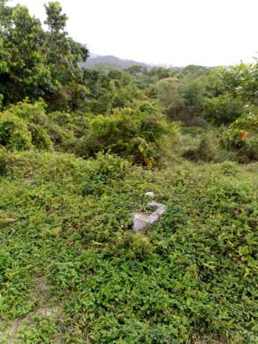 1Acre Land