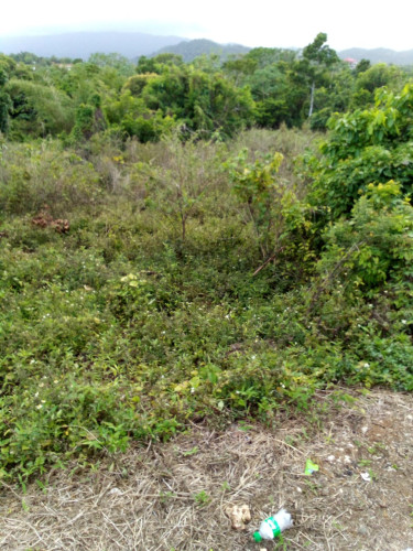1Acre Land