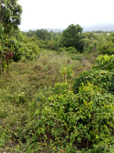 1Acre Land