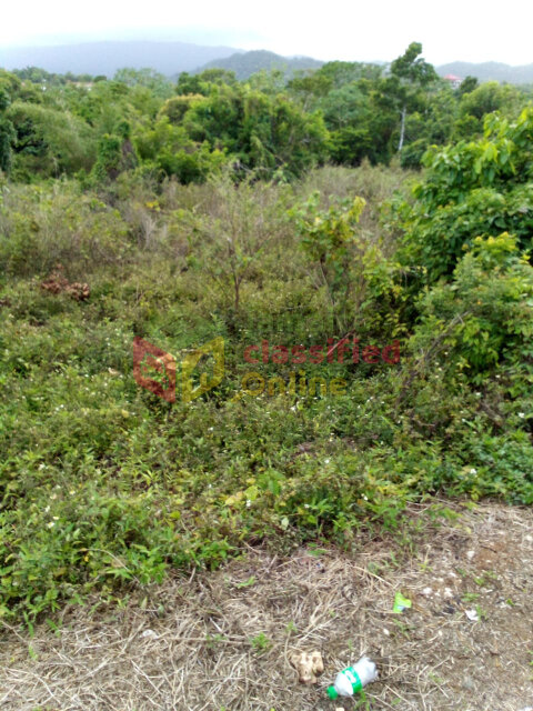 1Acre Land