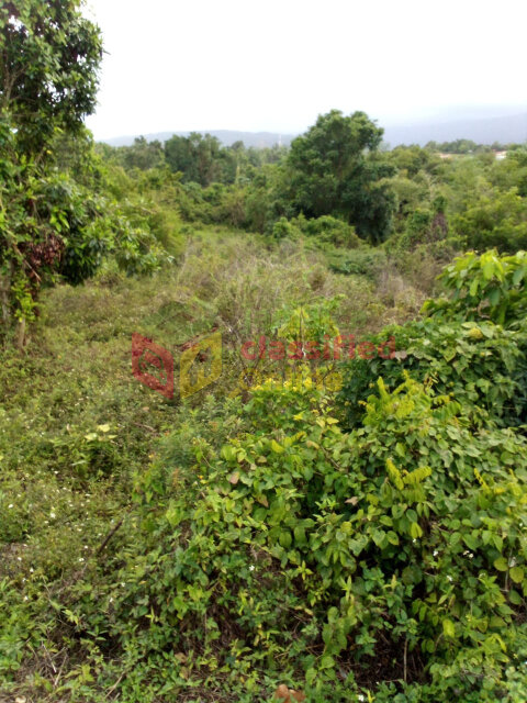 1Acre Land