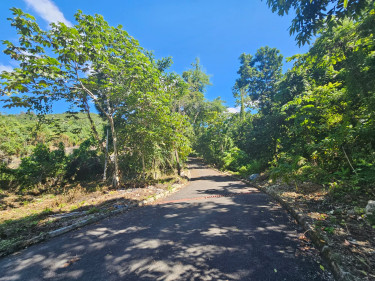 Prime Residential Lot - Sligoville