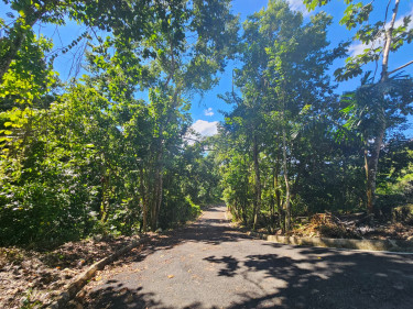 Prime Residential Lot - Sligoville