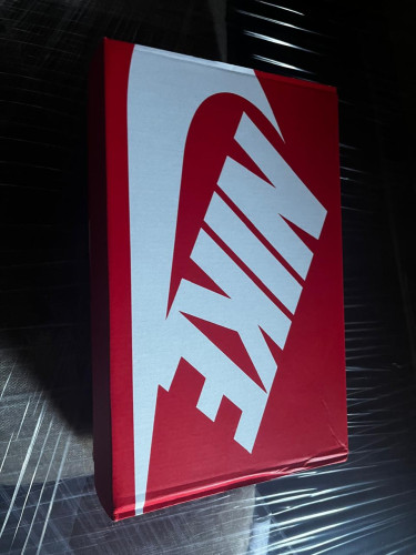 Nike DUNKS (Pandas) (Men 7.5/Women 9)