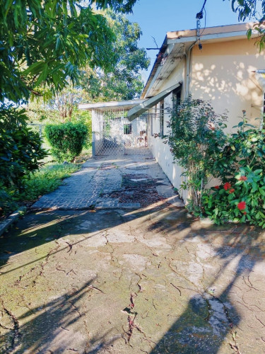 5 Bedroom House For Rent 