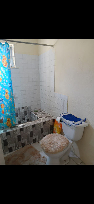 1 Bedroom Shared Furnished