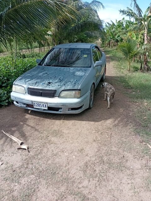 Toyota Camry 3401714