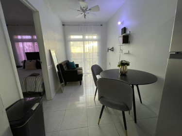 1 Bedroom Furnished Apartment 