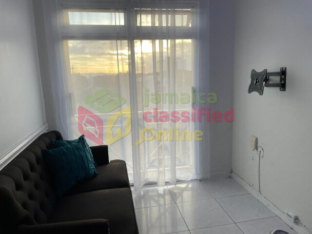 New Kingston Area 1 Bedroom Furnished Apartment