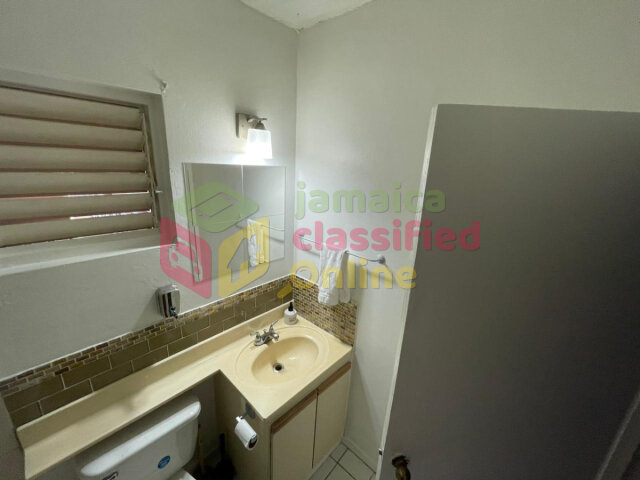 New Kingston Area 1 Bedroom Furnished Apartment