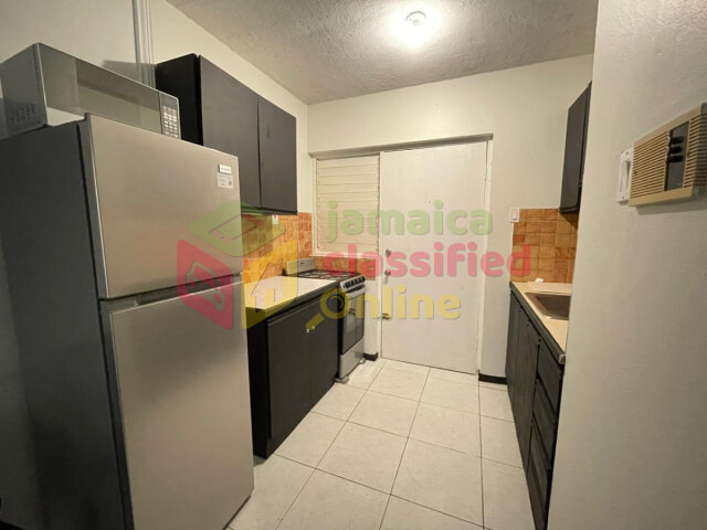 New Kingston Area 1 Bedroom Furnished Apartment Apartments New Kingston