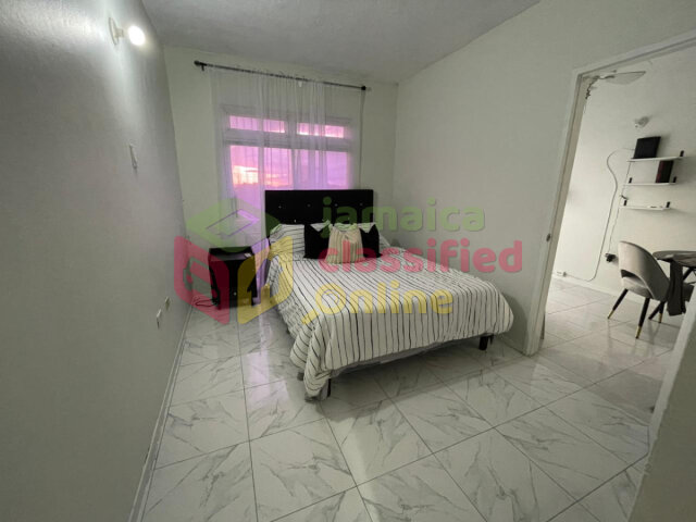 New Kingston Area 1 Bedroom Furnished Apartment