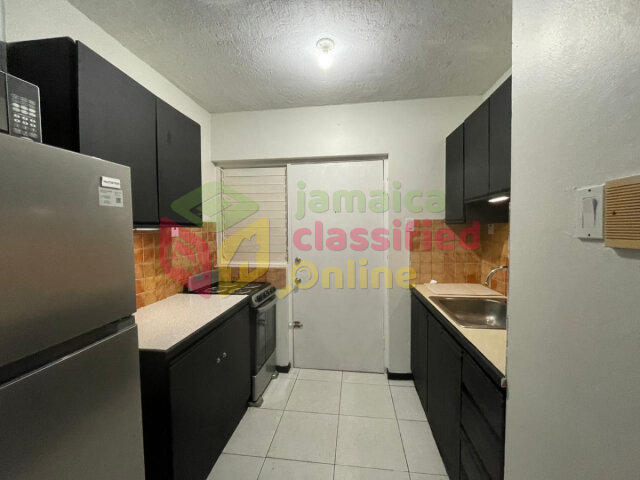New Kingston Area 1 Bedroom Furnished Apartment