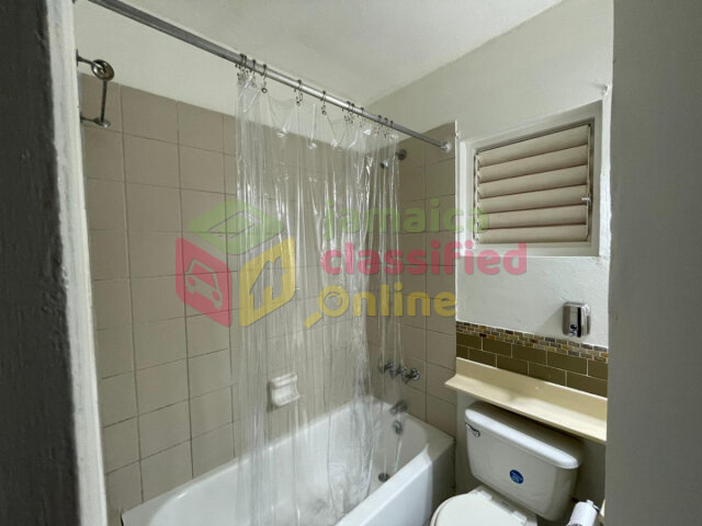New Kingston Area 1 Bedroom Furnished Apartment
