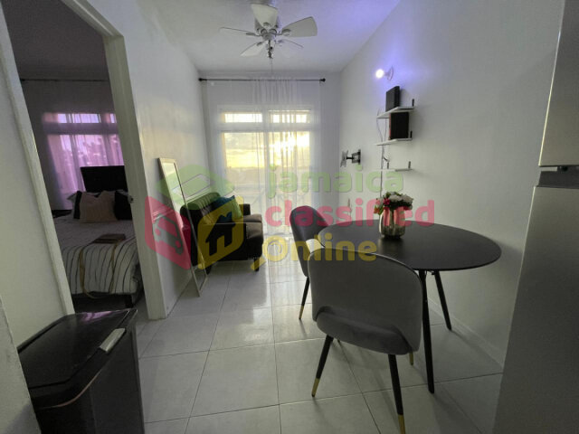 New Kingston Area 1 Bedroom Furnished Apartment