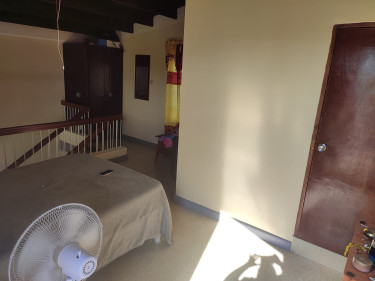 1 Bedroom Apartment In Mona/Kgn 6 Area