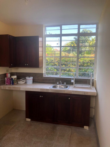 1 Bedroom Apartment In Mona/Kgn 6 Area