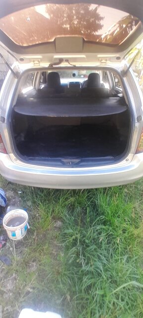 2010 Toyota Fielder
