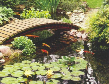 Water Features Construction 