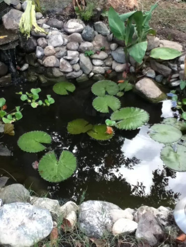 Water Features Construction 