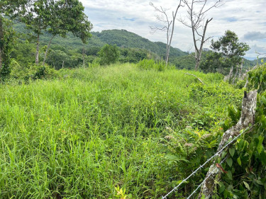 14Content10acres