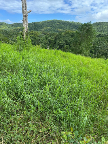 14Content10acres