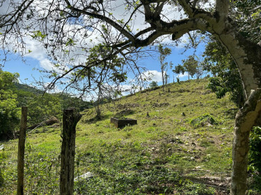 14Content10acres