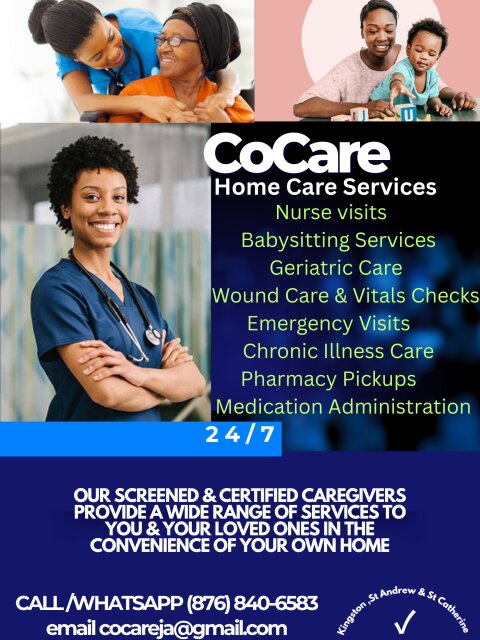 In Home Care And Babysitting Service