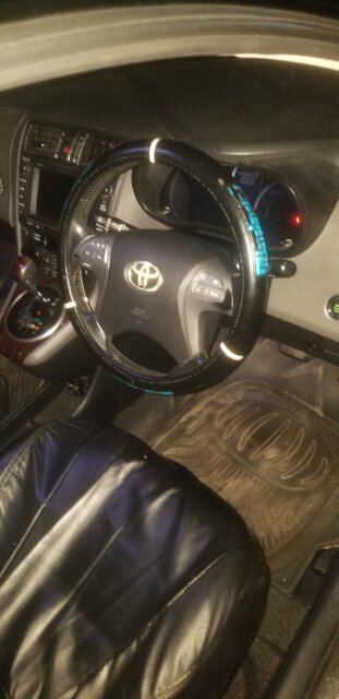 2011 Toyota Mark X Zio