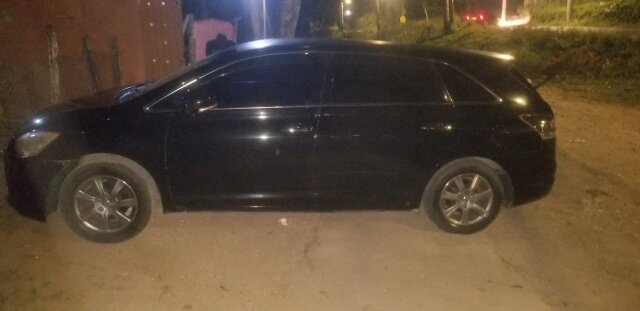 2011 Toyota Mark X Zio