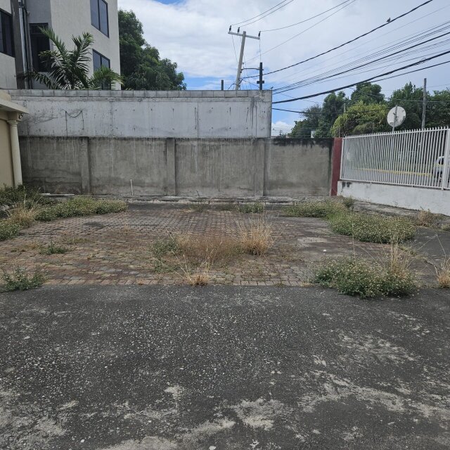 Entire Property FOR RENT (2 Buildings)