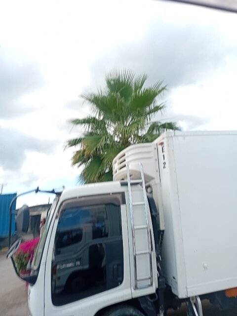 2006 Isuzu Forward