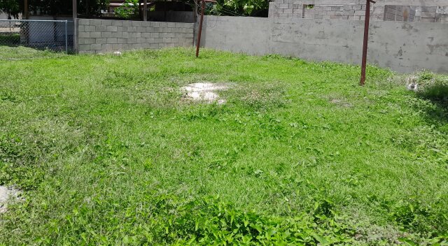 2 Bedroom House For Rent