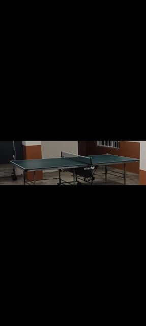 Butterfly Table Tennis Table